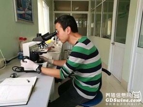 正典球苗技術(shù)服務(wù)團隊 專業(yè)力量走出國門，賦能全球客戶養(yǎng)殖新高度